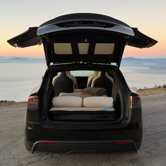 Memory | Tesla Model X 2021- (6 seater)