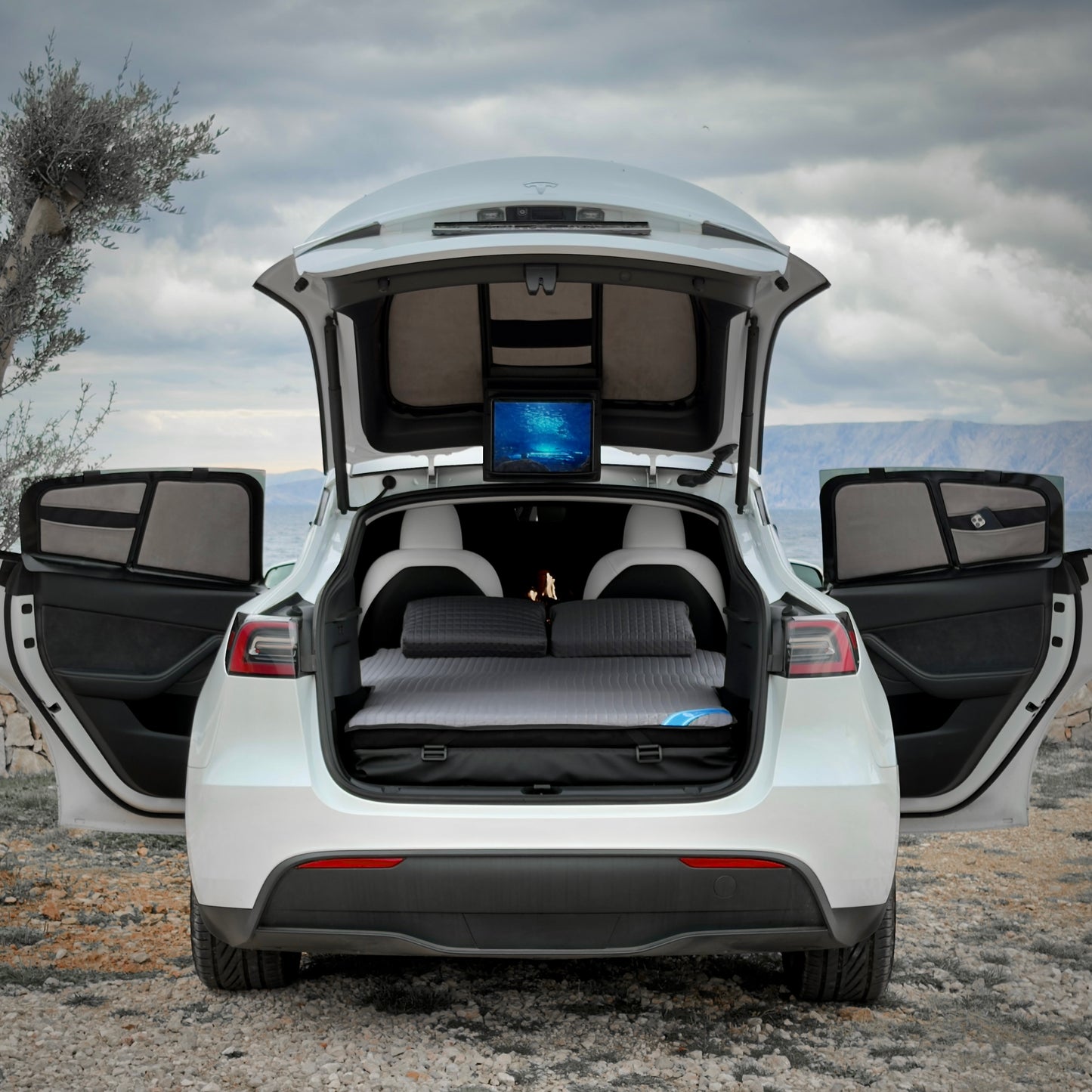 Memory | Tesla Model Y 2020-2024