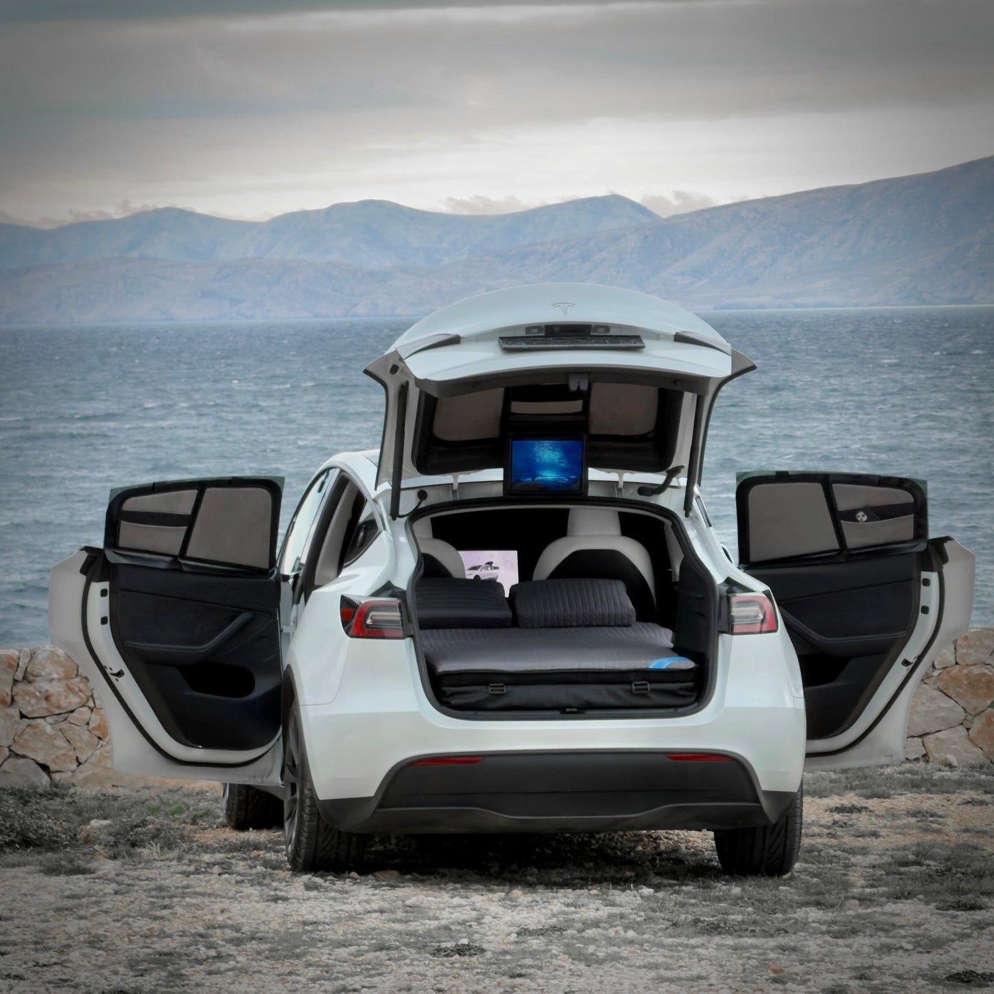 Memory | Tesla Model Y 2020-2024